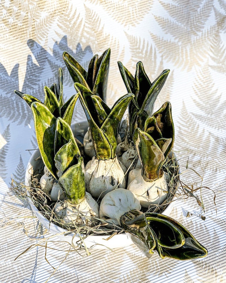 Ceramic Flower Bulbs