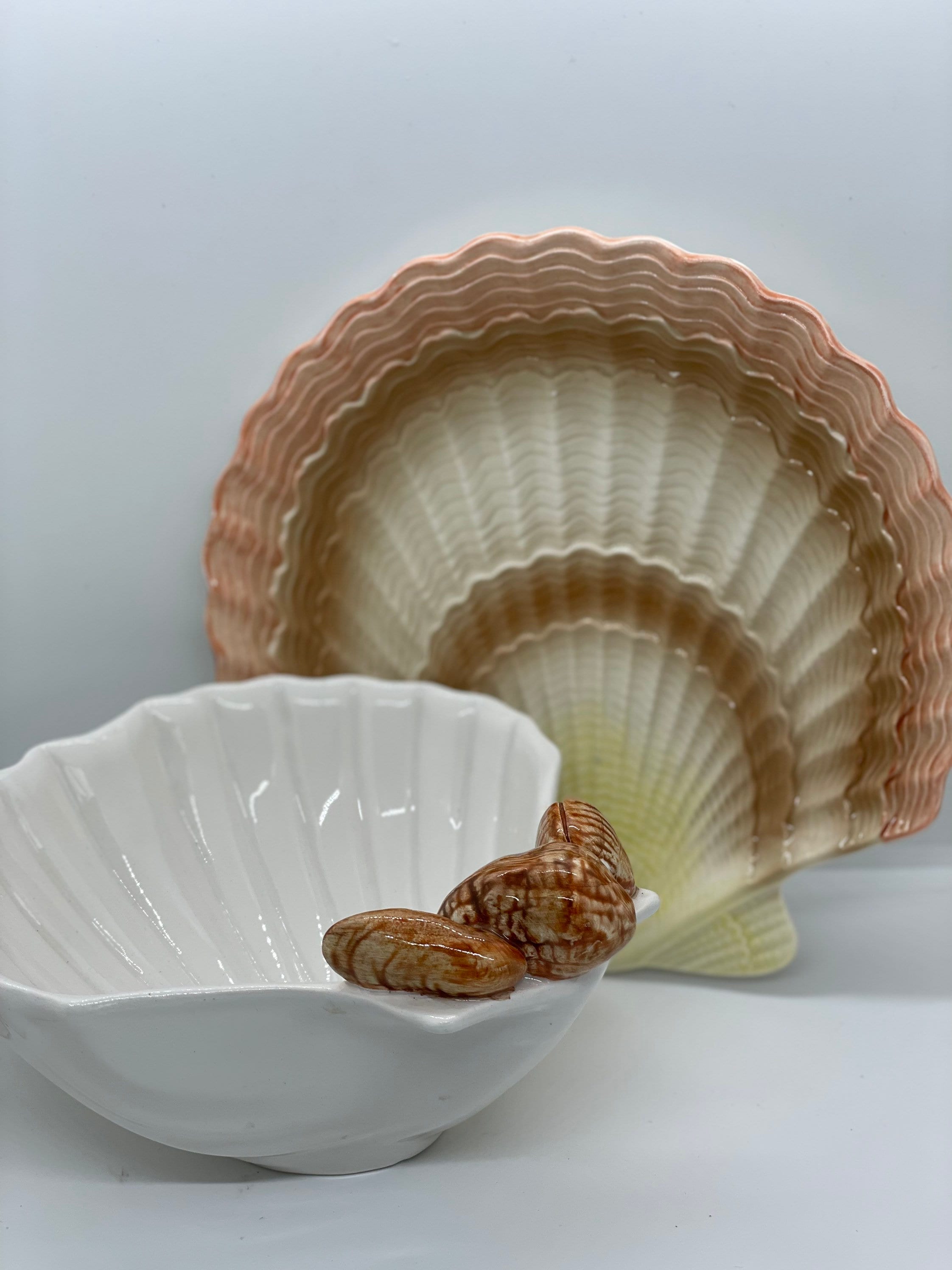 Natural Pen Shell Polished / 2 Sizes / Seashell Dish / Pinnidae Noblis /  Fan Shape Shell / Polished Giant Mussel / Shell Supply 