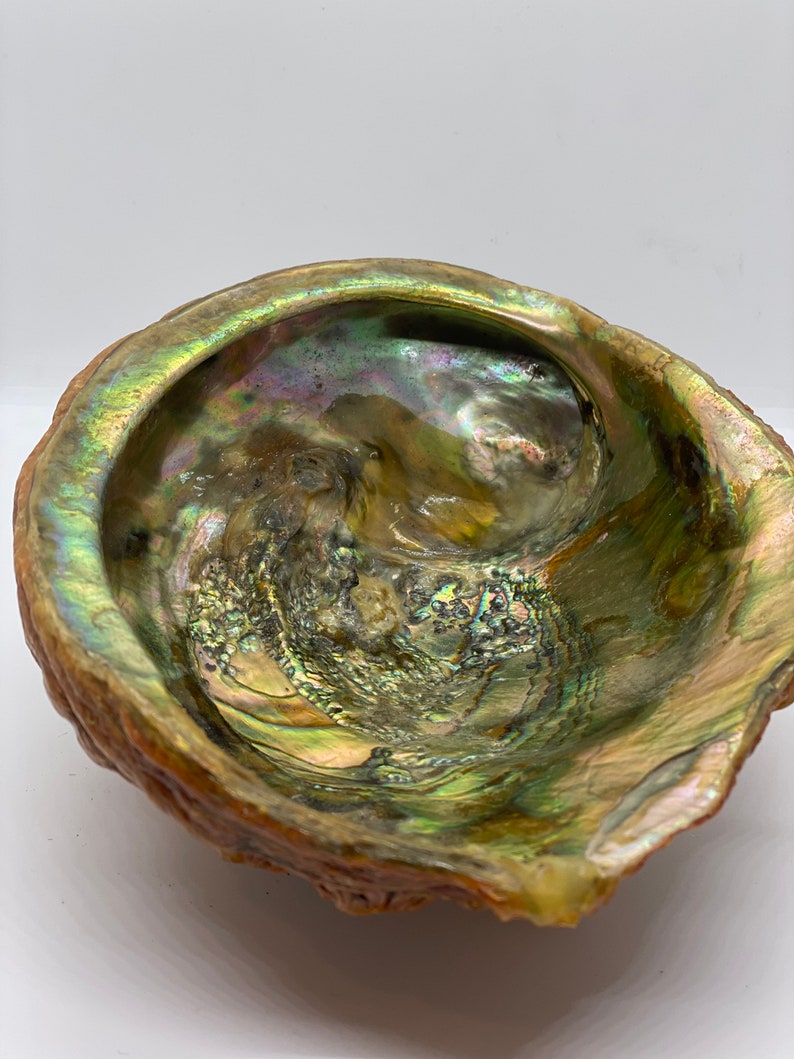 Iridescent Dish BIG Abalone Shell Bowl Tiki Real Shell 1960 Art Piece