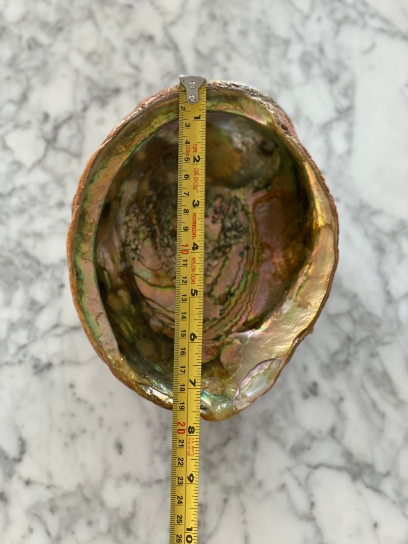 Iridescent Dish BIG Abalone Shell Bowl Tiki Real Shell 1960 Art Piece