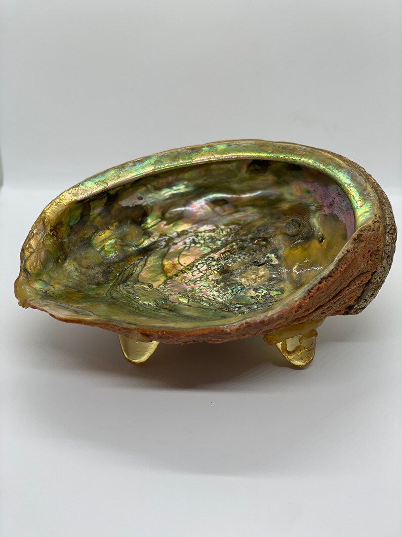 Iridescent Dish BIG Abalone Shell Bowl Tiki Real Shell 1960 Art Piece