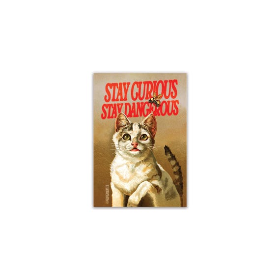 Stay Curious Stay Dangerous Cat Sticker Vintage Portrait Bee Die Cut Vinyl