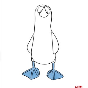 Minimalist Line Art Blue Footed Booby Bird Drawing | Digital Download Printable with Variations