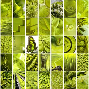 Puede incluir: Un collage de 36 imágenes que presentan varios tonos de verde. Las imágenes incluyen escenas de la naturaleza, objetos y diseños abstractos. Algunas de las imágenes incluyen una mariposa, una manzana verde, una rosa y una hoja verde.