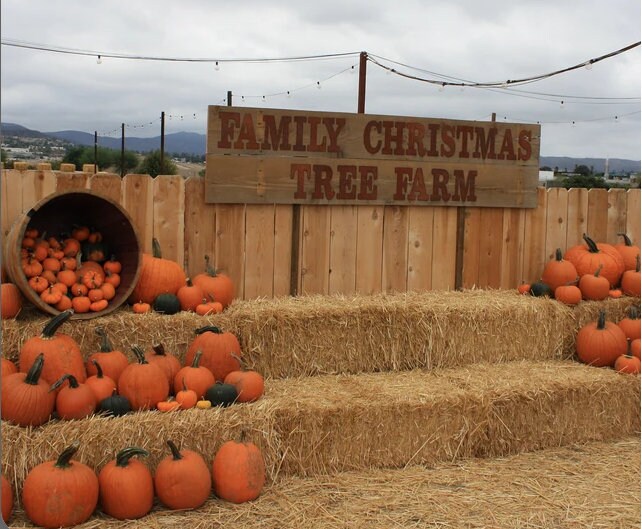 Thin 6.5 Rustic Metal Letters and Numbers AZ 09 Rust Etsy
