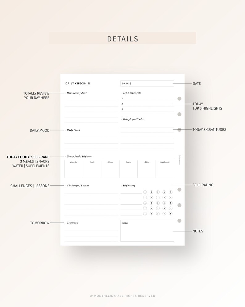 May include: A printable daily planner page with sections for daily check-in, mood, food and self-care, challenges and lessons, self-rating, and notes. The page is designed for a ring binder.