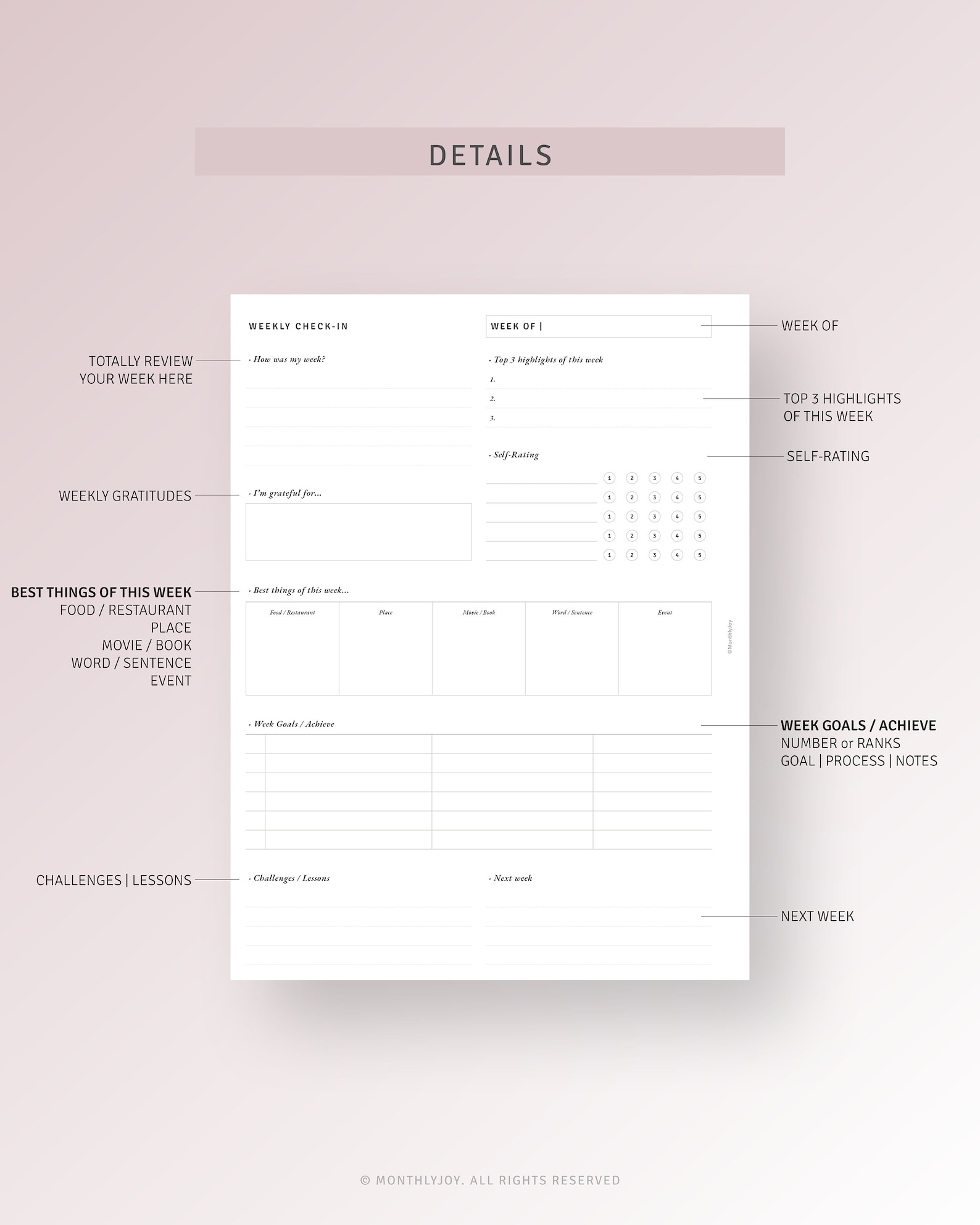 Weekly Reflection Template Printable HP Classic Inserts, Week in Review