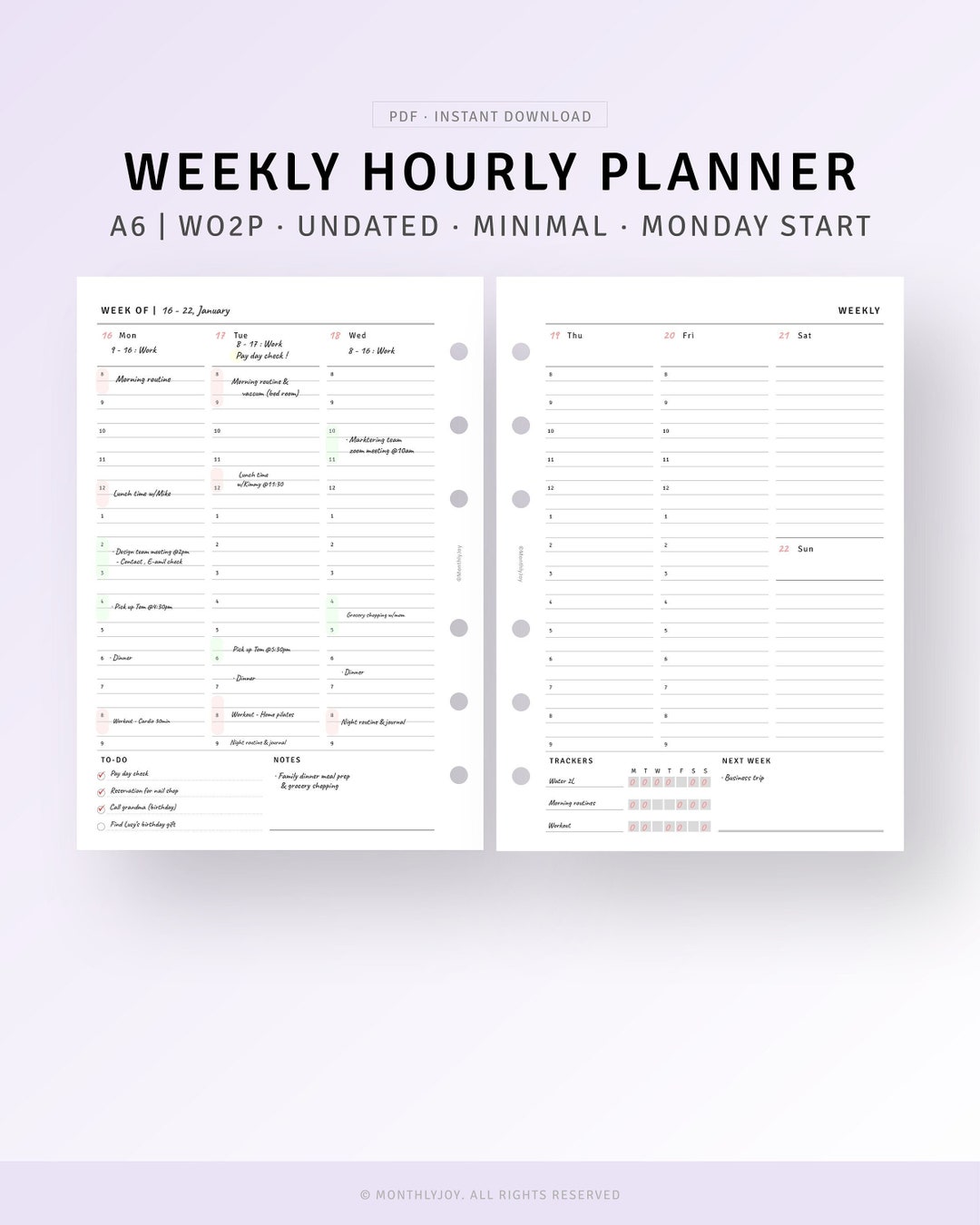 Weekly Hourly Planner Printable A6 Inserts Schedule Organizer Sheet ...
