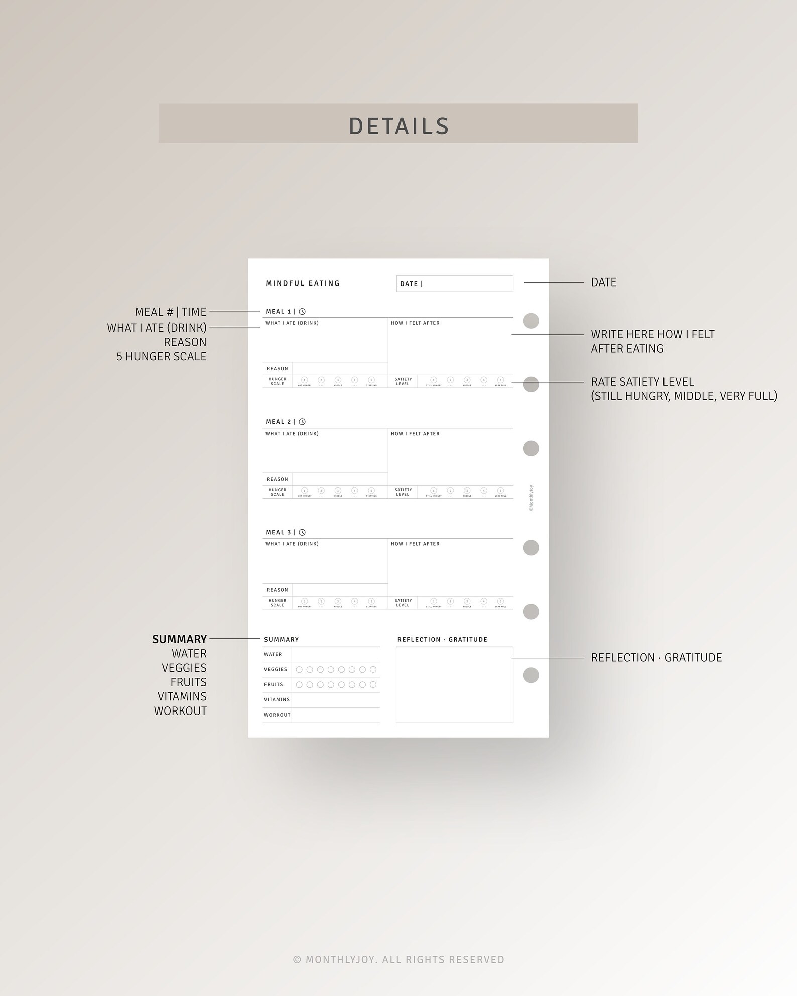 Mindful Eating Food Journal Printable FC Compact Inserts, Daily ...
