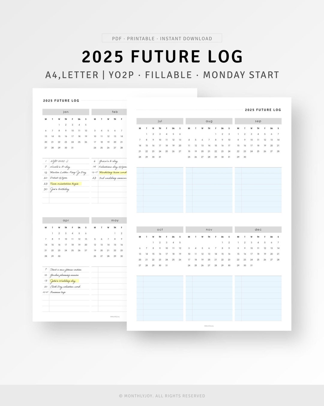 Future Log 2025 Printable A4/letter Inserts Fillable Year at A Glance ...