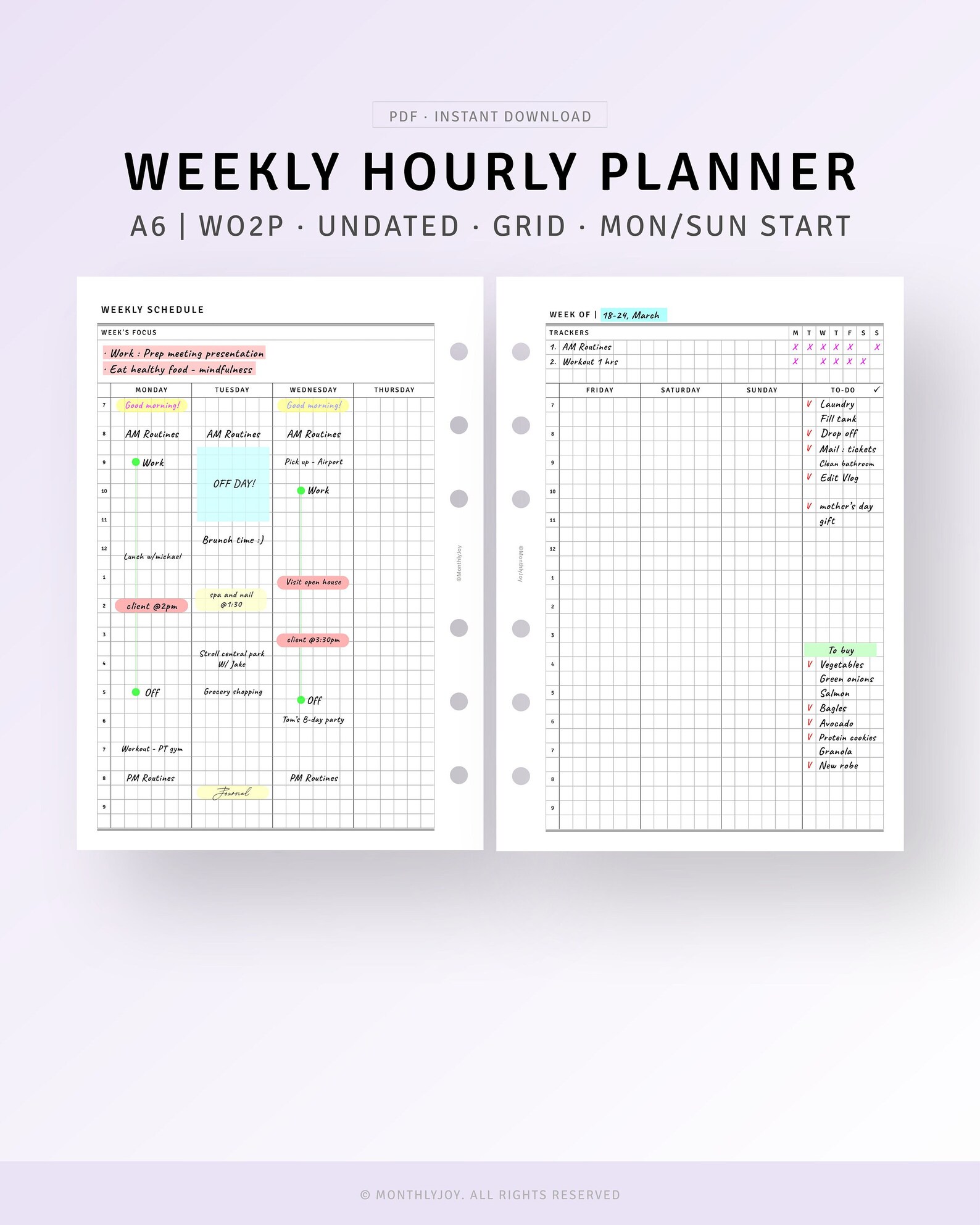 Weekly Hourly Planner A6 Inserts Printable Week on Two Page - Etsy