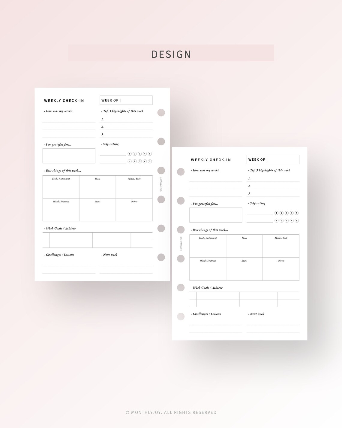 Weekly Review Pocket Plus Planner Inserts Printable Week Reflection ...