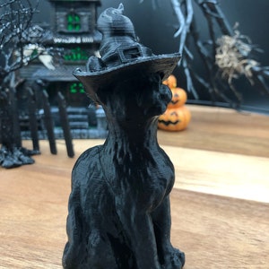 Witch Cat