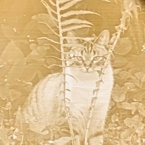 Custom Lithophane