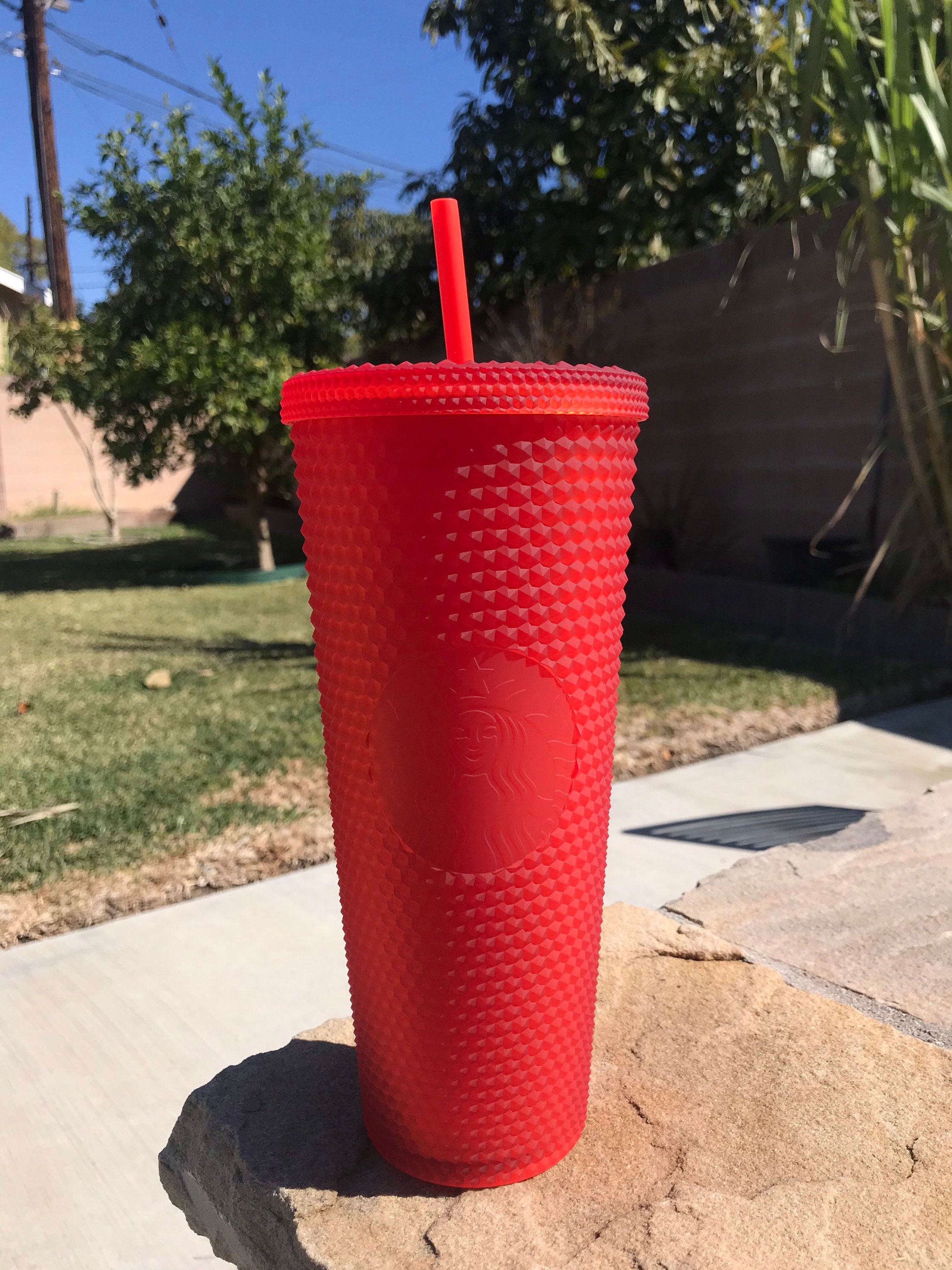 Starbucks Red Tumbler 2024 Pammy Batsheva