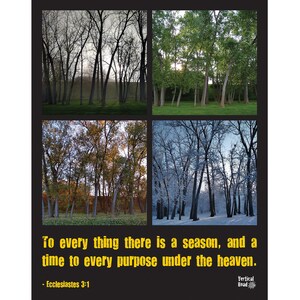 Four Seasons / Trees / Home Decor / Photo framed / Wall Art / Photography Wall Art / Gift / Nature / Nebraska