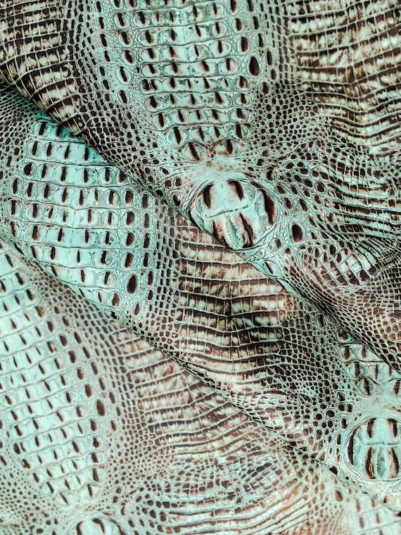 Real Aqua Gator Hide, Leather Cowhide, Alligator Leather Hide, Tack Making, Leather Crafting, Embossed Leather Sheet