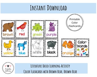 Tarjetas de colores, imprimibles, actividad de aprendizaje preescolar, niños pequeños, educación en casa, juegos educativos, aprendizaje de colores, pancarta de pared, bolsa ocupada