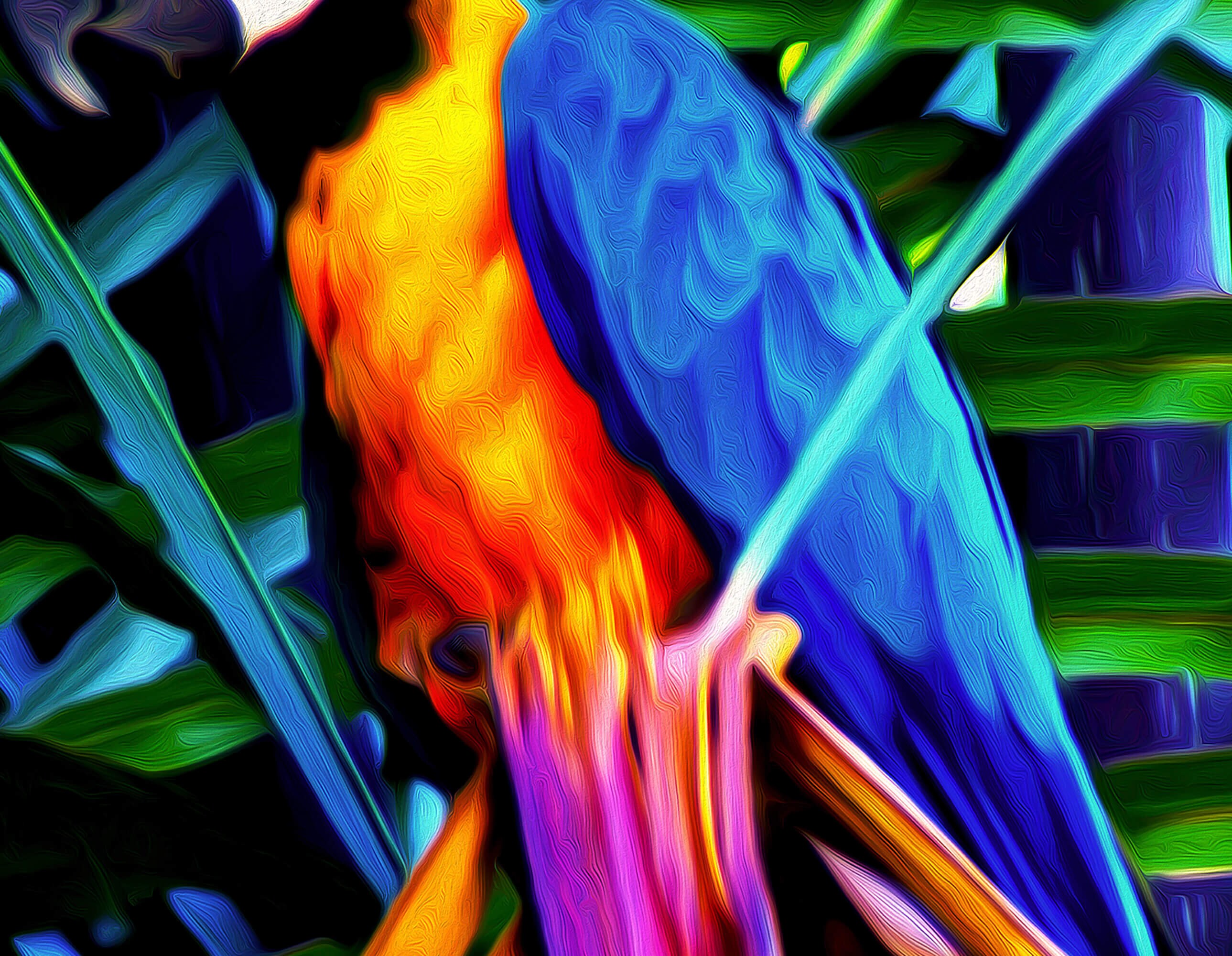 Blue and Gold MACAW CANVAS ART, Parrot Artwork, Parrot Wall Art ...