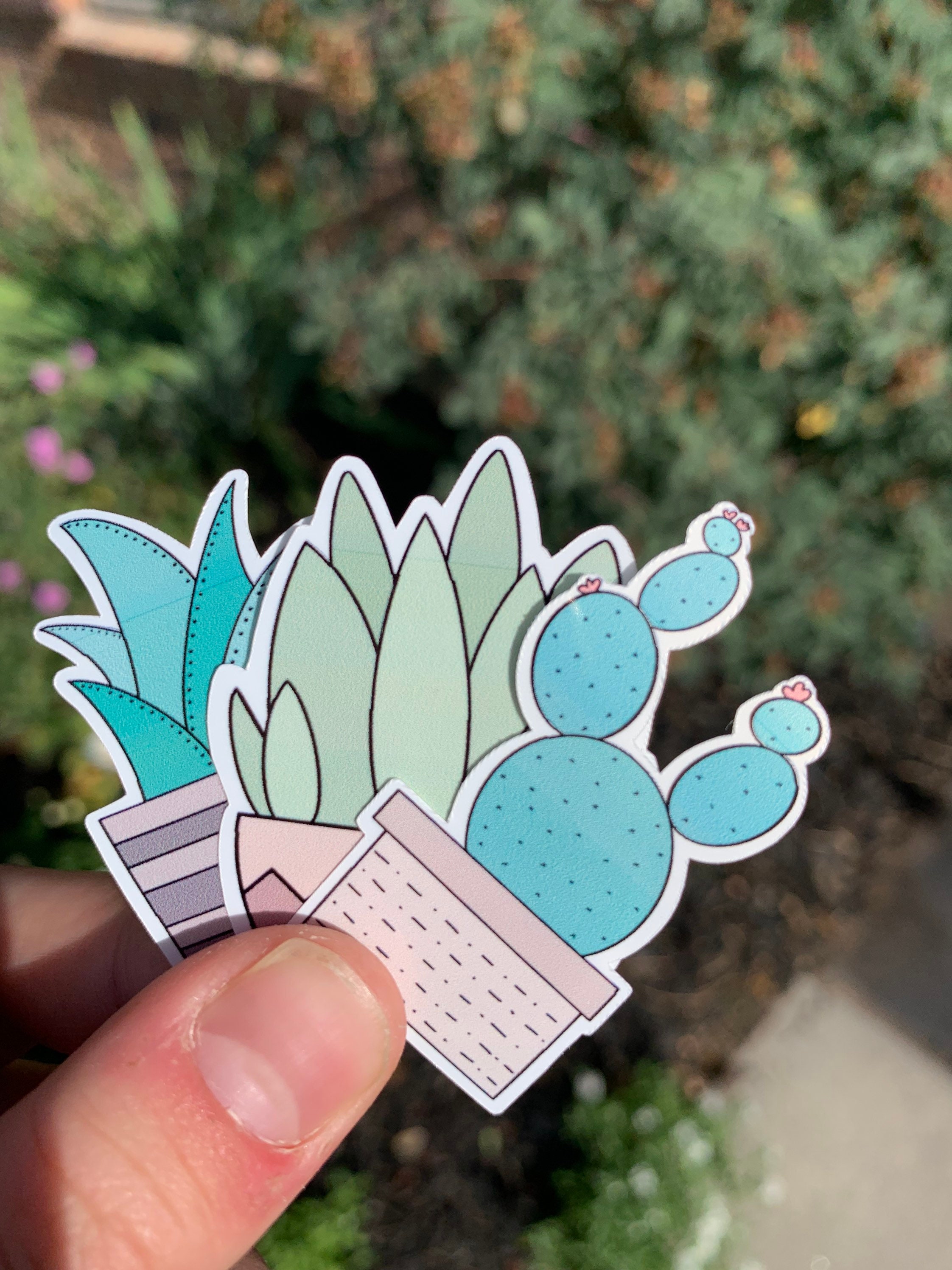Cacti Sticker Set | Etsy