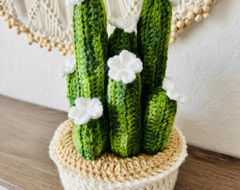 Crochet Cactus Plant, Handmade Acrylic Home Decor, 9x6 inches