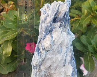 Beautiful blue kyanite specimen,minerals and geodes,great gift,crystal healing