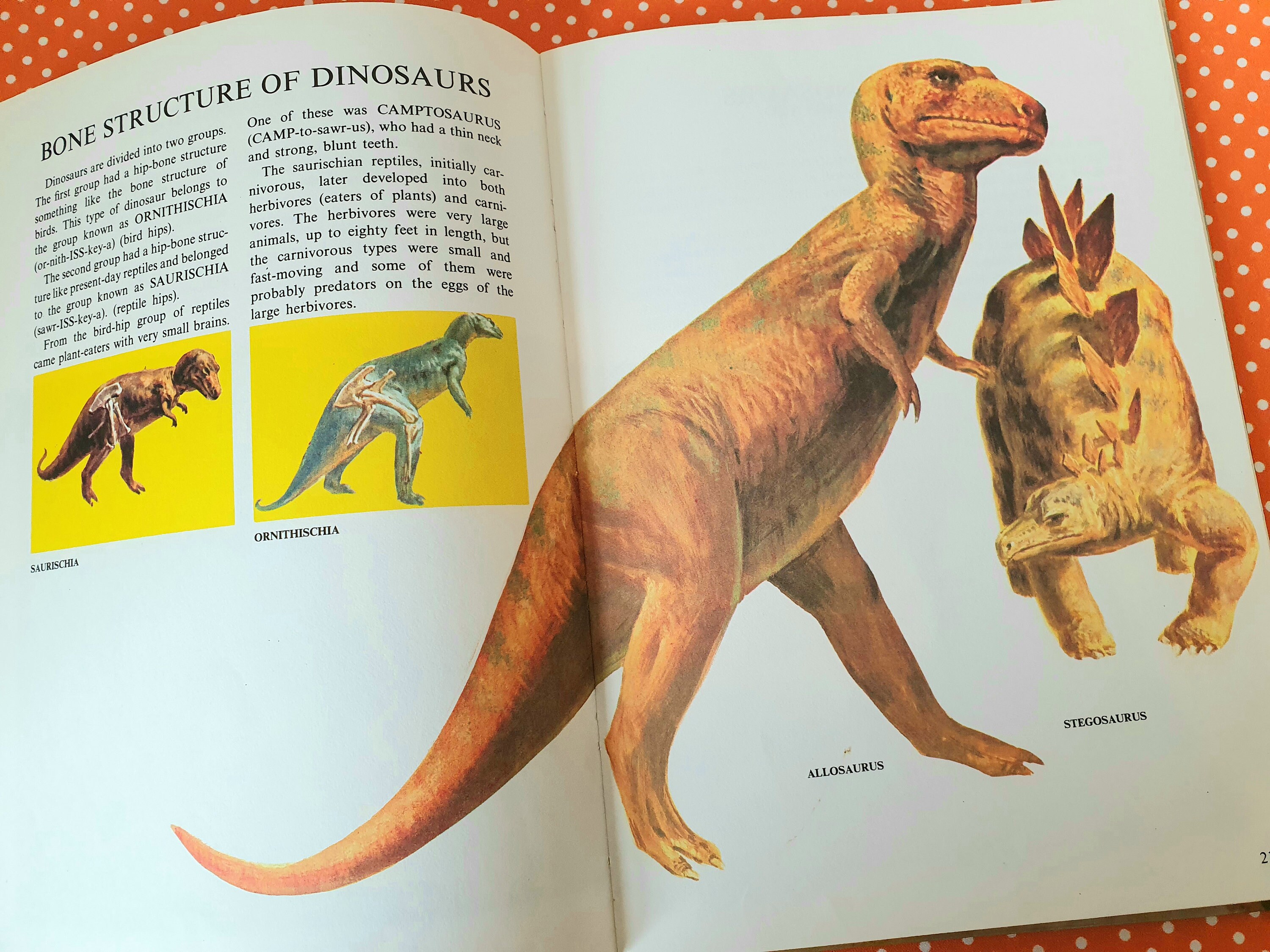dinosaurs in earth