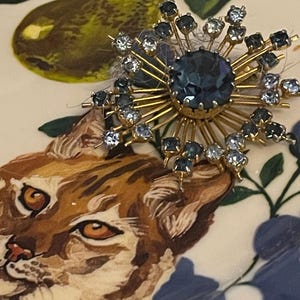 May include: A gold tone brooch with a large blue rhinestone in the center. The brooch is surrounded by smaller rhinestones in a starburst pattern.