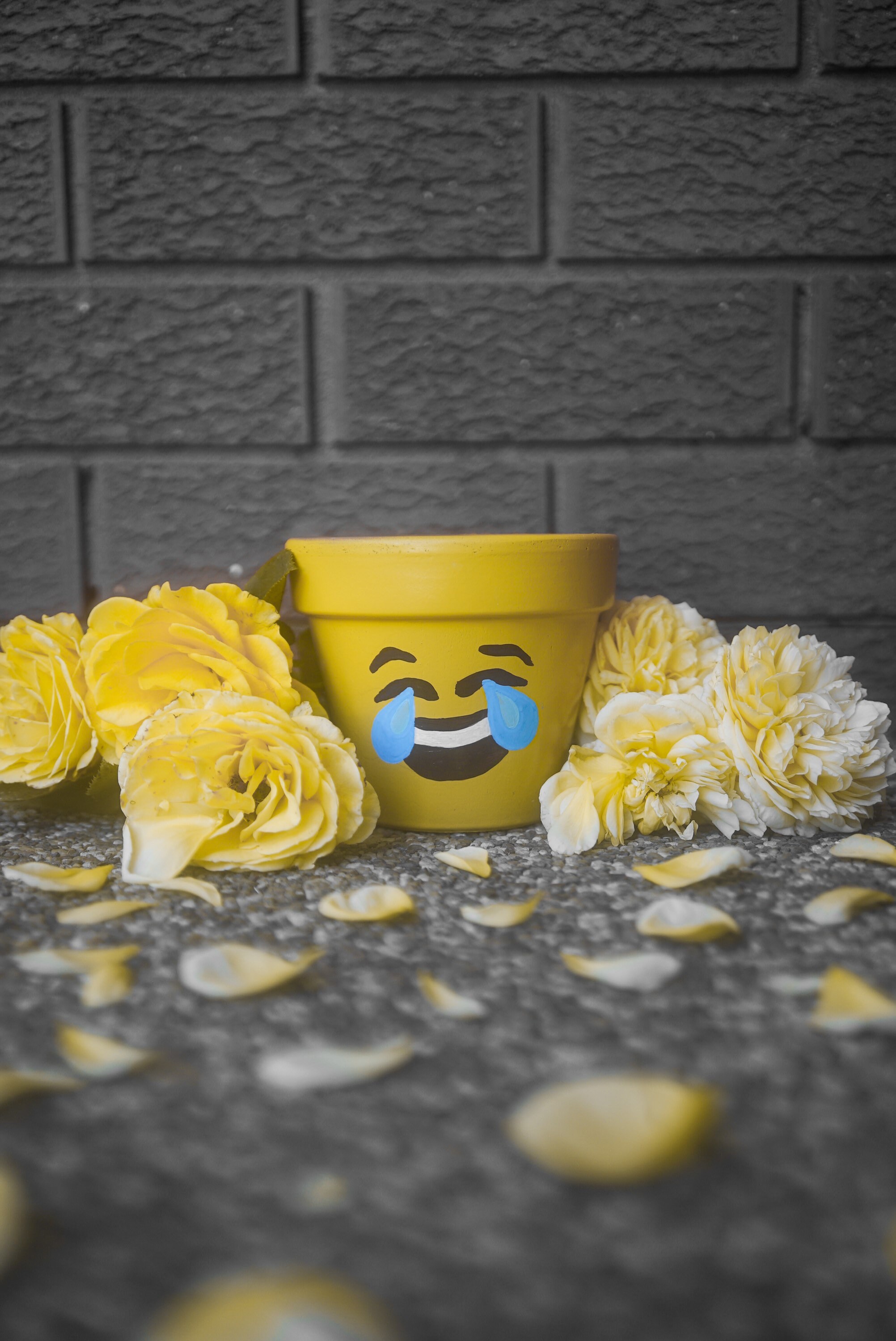 Laughing Emoji Pot Etsy