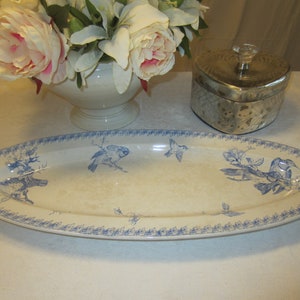 Grande assiette de service ovale avec motifs d’oiseaux de France, SARREGUEMINES - Buffon, Ironstone, Eisenstein, Vintage, Antik