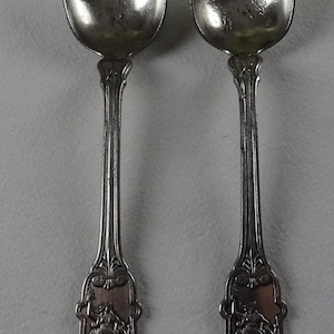 Set of 2 spoons very old France Vintage