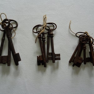 Set of keys, antique keys with patina, France, key bunch, iron