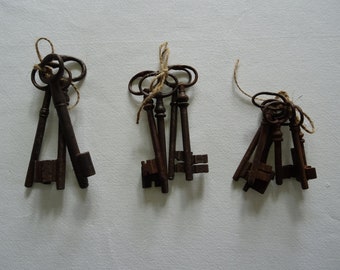 Set of keys, antique keys with patina, France, key bunch, iron