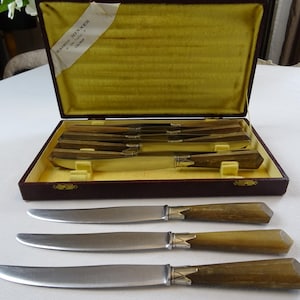 11-delige messenset met hoornen handgrepen Art Deco Colmar originele doos zeer goede staat bruikbaar