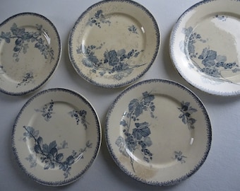 Ensemble de 5 assiettes Sarreguemines Groselles Patine France