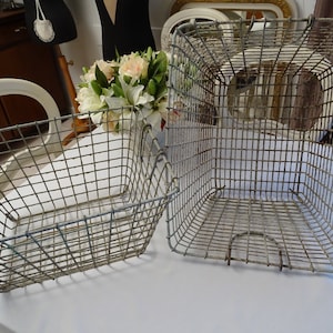 Cesta de conchas decoração marítima decoração vintage jardim França Bretanha