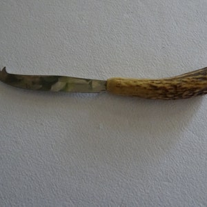 Cheese knife with horn handle, France, antique, vintage, knife for cheese, serving, cutlery