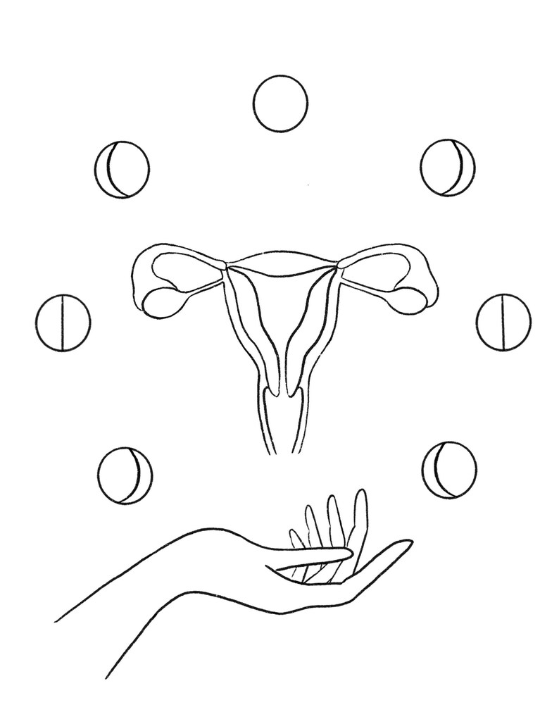Uterus Coloring Page Coloring Pages
