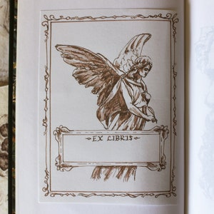 Puede incluir: Una cubierta de libro marr&oacute;n y blanca con un borde decorativo y una ilustraci&oacute;n de un &aacute;ngel con alas. El texto "Great Expectations" es visible en el lado derecho de la cubierta.