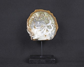 Small Engraved Mother of Pearl Shell Octopus Carving Pelecypoda Mollusca