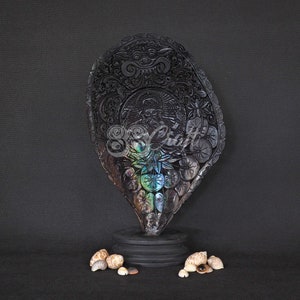 May include: A black carved shell with iridescent details, featuring a floral design and a central figure. The shell is displayed on a black wooden stand with a round top and three legs. Several smaller shells are scattered around the base of the stand.