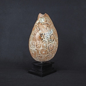 Natural Balinese Phoenix Carving Volute Shell Hand Carved