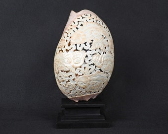 Natural Balinese Goldfish Carving Volute Shell Hand Carved