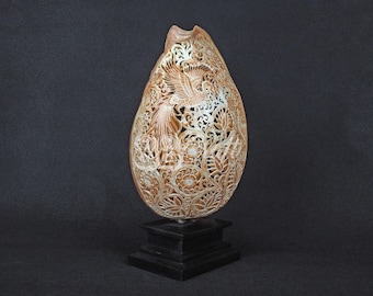 Natural Balinese Phoenix Carving Volute Shell Hand Carved