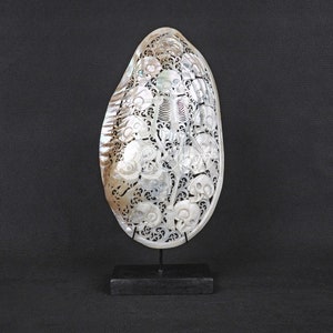 Natural Mussels Clam Shell Carving Skull Model on Stand Large Size Hand Carved