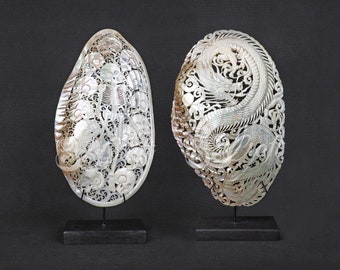 2pcs Natural Mussels Clam Shell Carving Skull Dragon Hand Carved Mixed Model Large Size Bundle