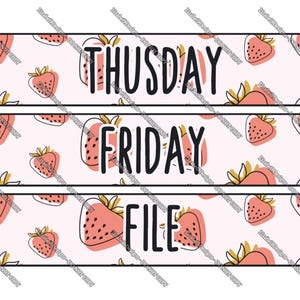 Strawberry Daily Drawer Organizers