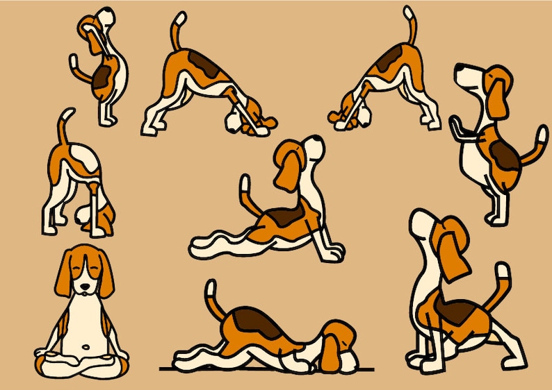May include: Illustration of a beagle dog in various yoga poses, including downward-facing dog, cobra pose, and meditation pose. The dog is brown, white, and black.
