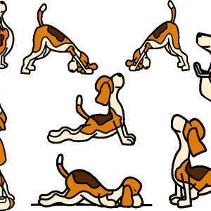 May include: Illustration of eight beagles in various yoga poses. The beagles are drawn in a cartoon style with orange, brown, and white colors against a black background.