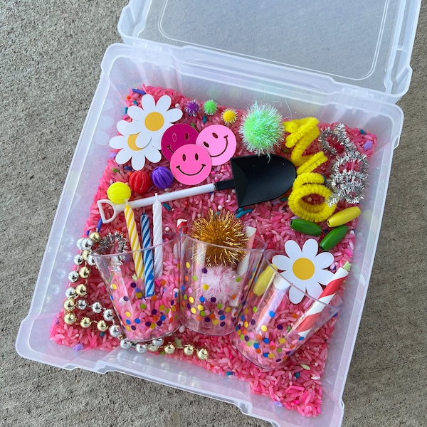 Birthday Sensory Kit, Girls Birthday Kit, Ice Cream Sensory Kit, Cake Sensory Kit, Baking Sensory Kit, Kitchen Sensory Kit, Celebration